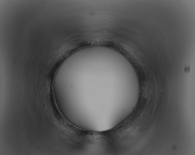 X0000096650695200802121133