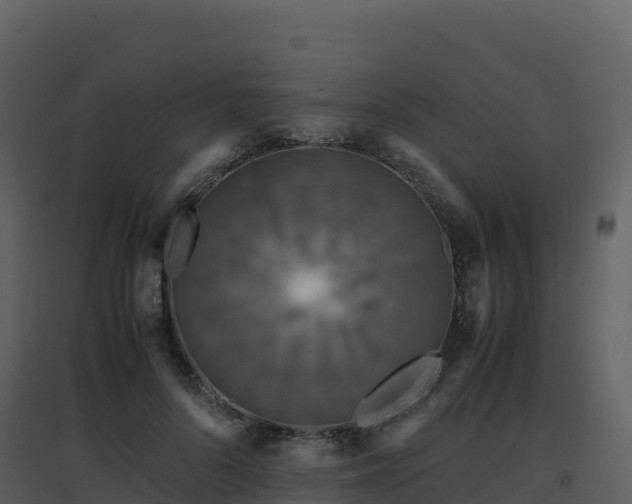 X0000096650696200802121133