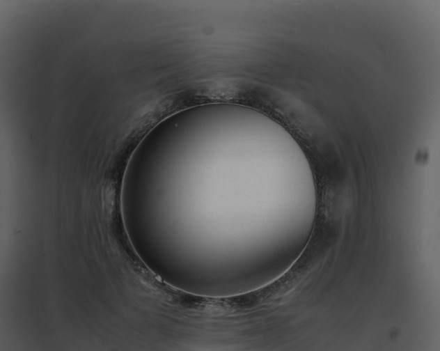 X0000096650697200802121133