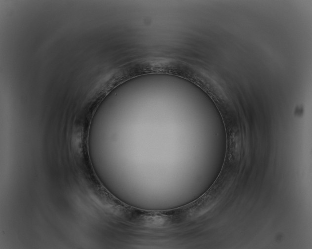 X0000096650698200802121133