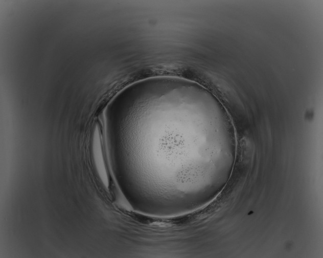 X0000096650699200802121133