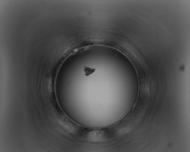X0000096650700200802121133