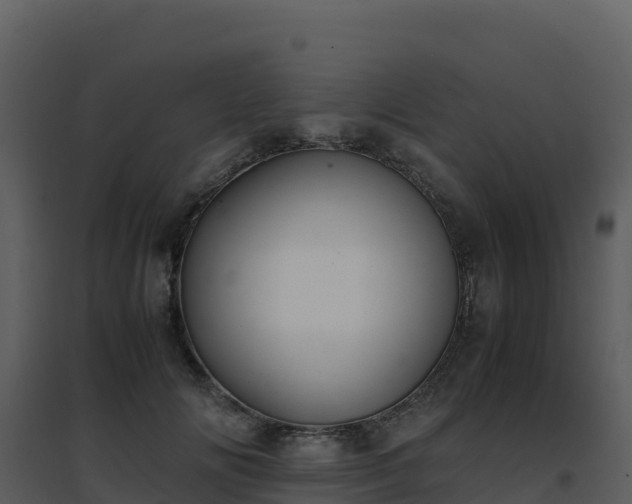X0000096650702200802121132