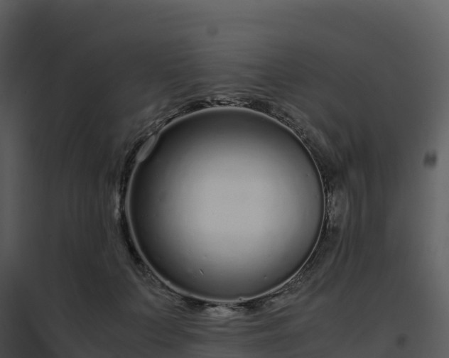 X0000096650703200802121132