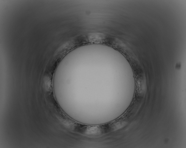 X0000096650705200802121132