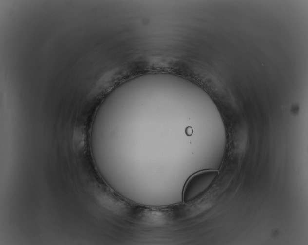 X0000096650706200802121132
