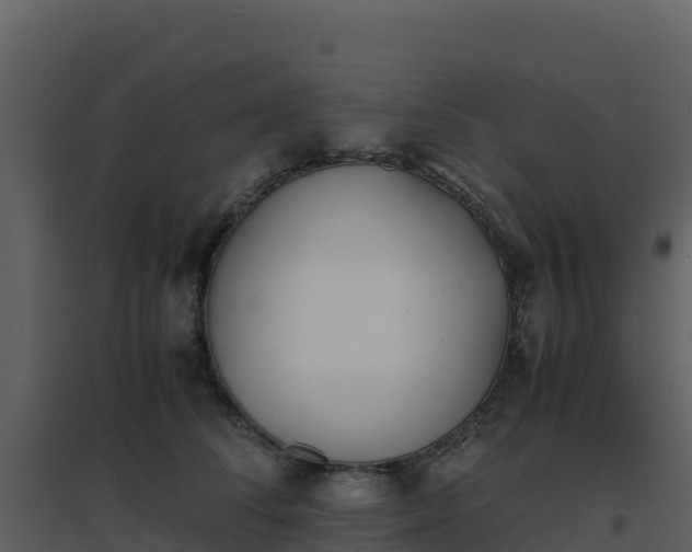 X0000096650708200802121132
