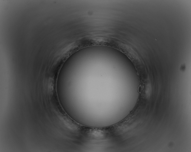 X0000096650710200802121132