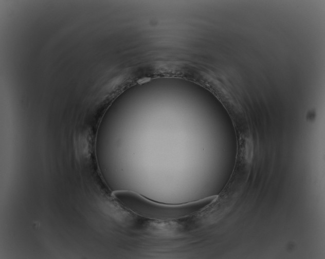 X0000096650712200802121132