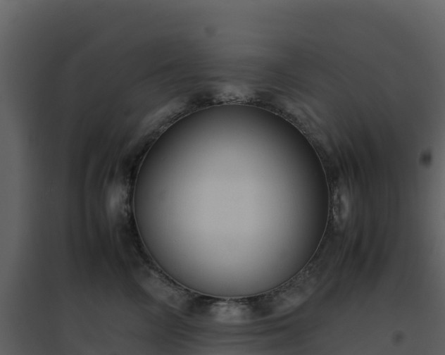 X0000096650714200802121132
