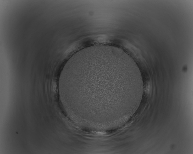 X0000096650715200802121132