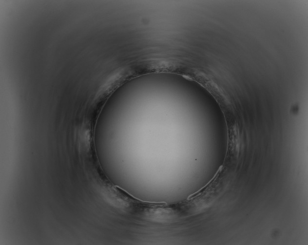 X0000096650716200802121132