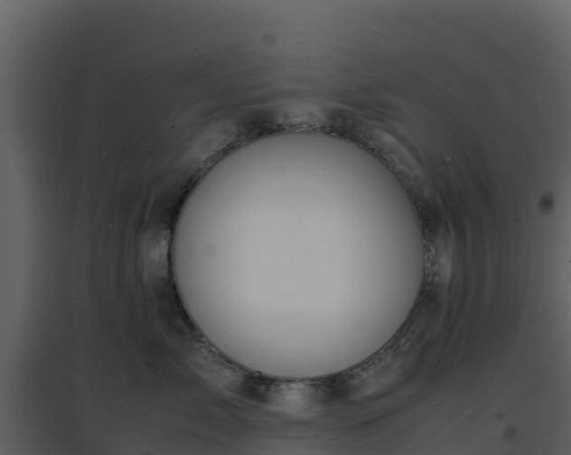 X0000096650717200802121132