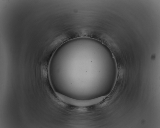 X0000096650719200802121132
