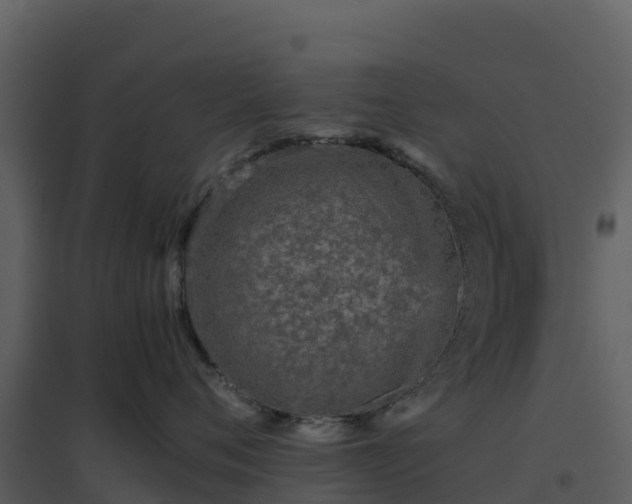 X0000096650720200802121132