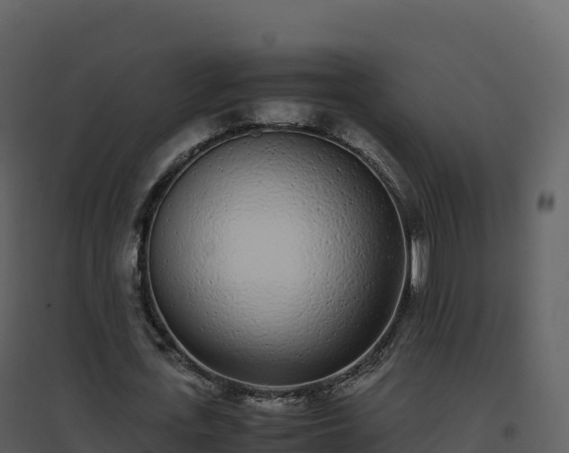 X0000096650723200802121132