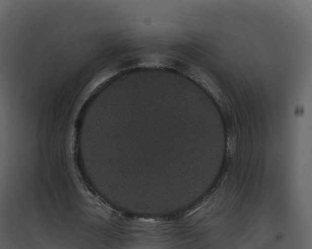 X0000096650724200802121132