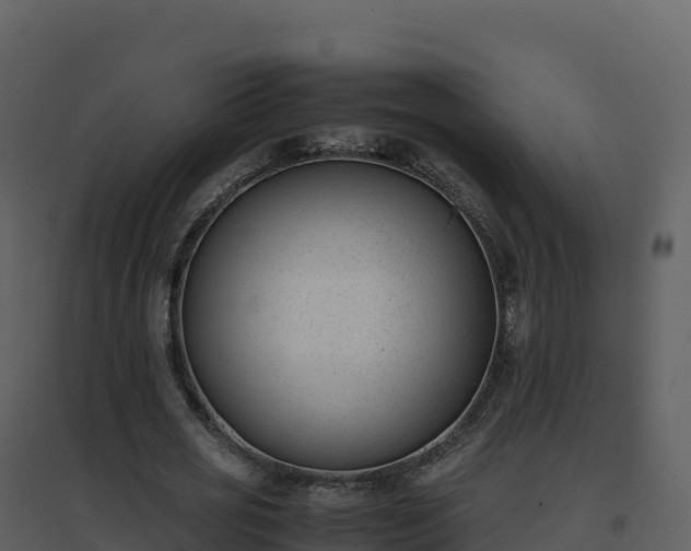 X0000096650725200802121132