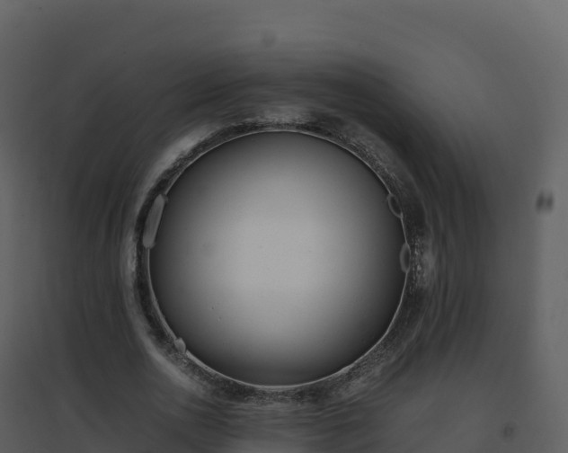 X0000096650726200802121132
