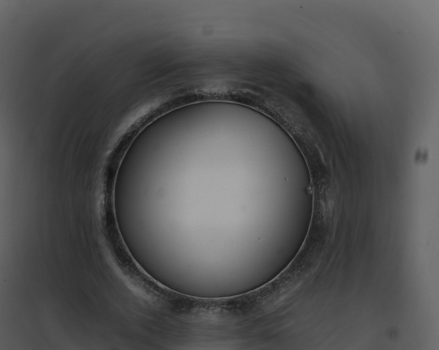 X0000096650728200802121132