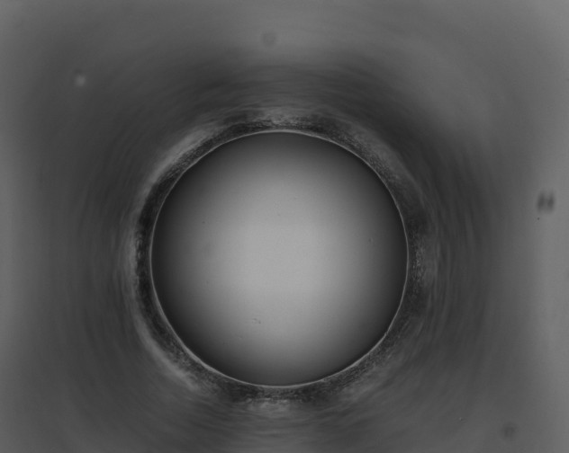 X0000096650730200802121132