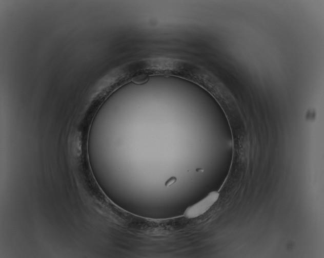 X0000096650731200802121132