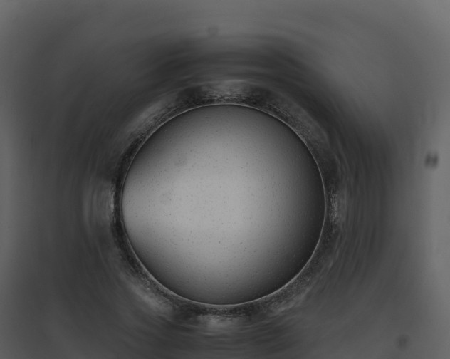 X0000096650733200802121132