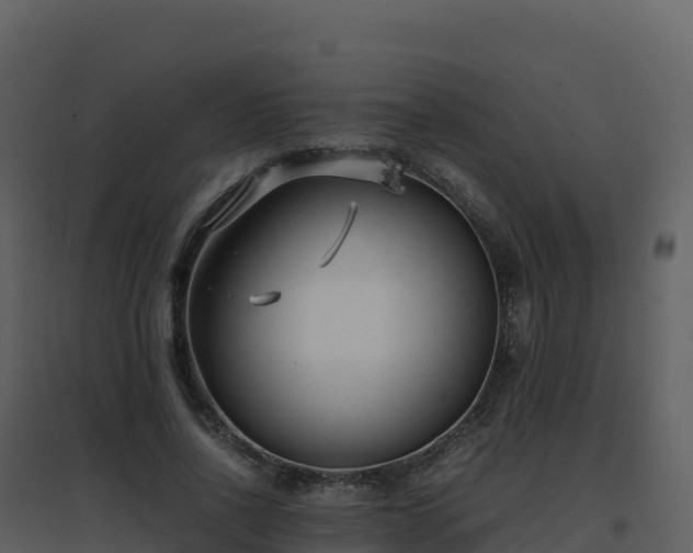 X0000096650734200802121132