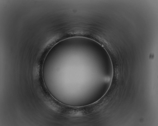 X0000096650735200802121132