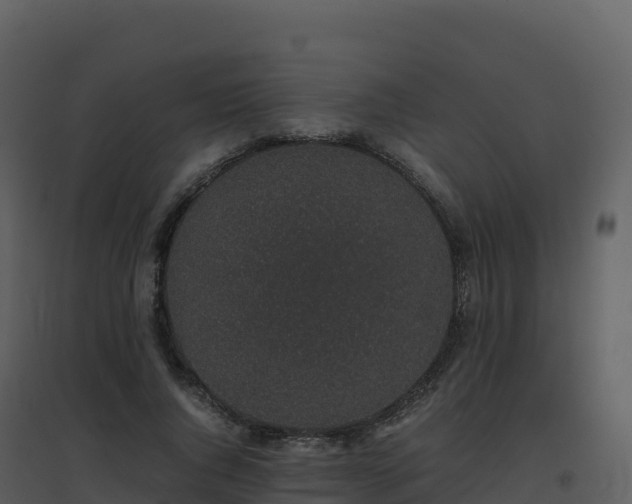 X0000096650736200802121132