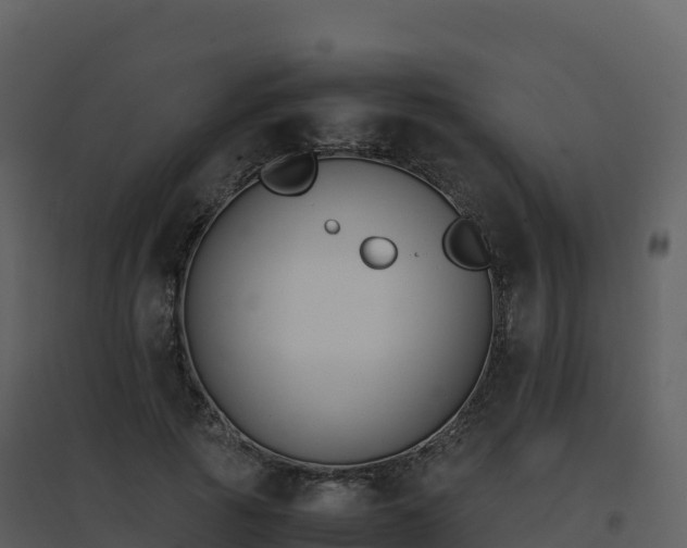 X0000096650737200802121132