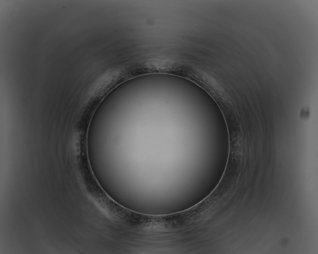 X0000096650738200802121132