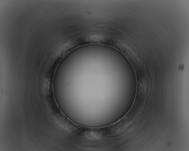 X0000096650739200802121132