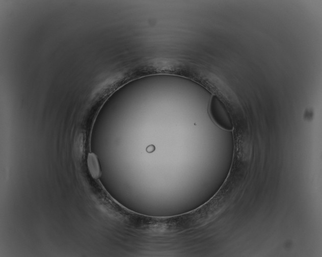 X0000096650740200802121132