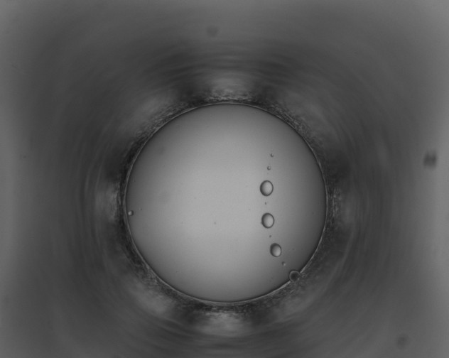 X0000096650741200802121132