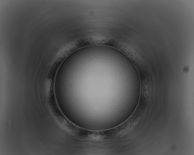 X0000096650742200802121132