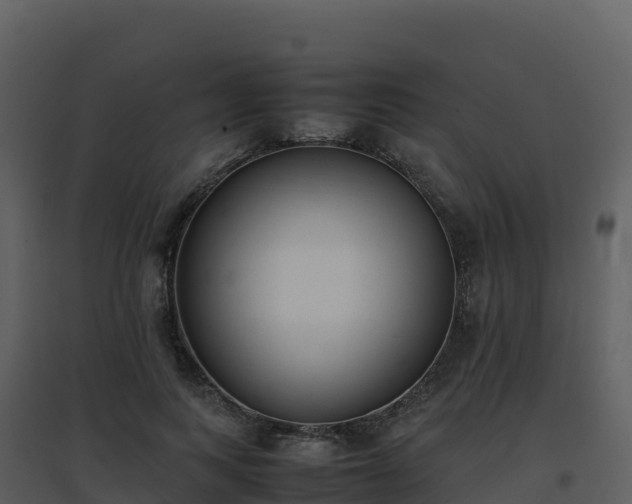 X0000096650743200802121132