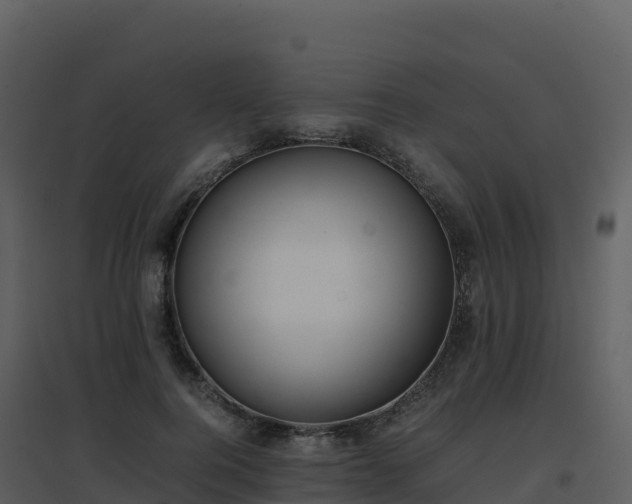 X0000096650744200802121132