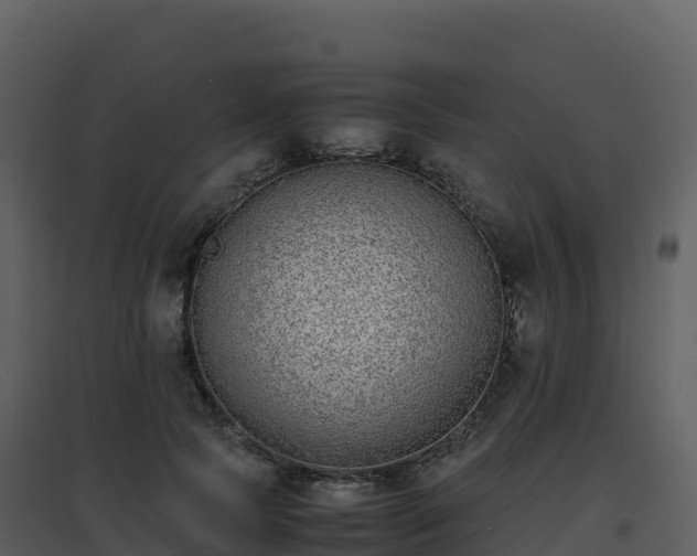 X0000096650745200802121132
