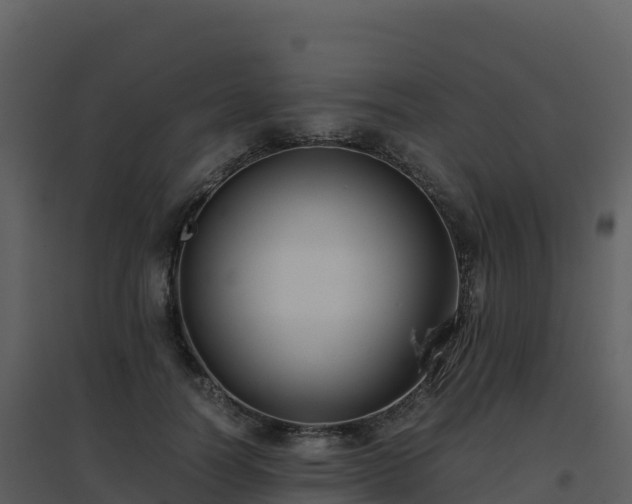 X0000096650746200802121132