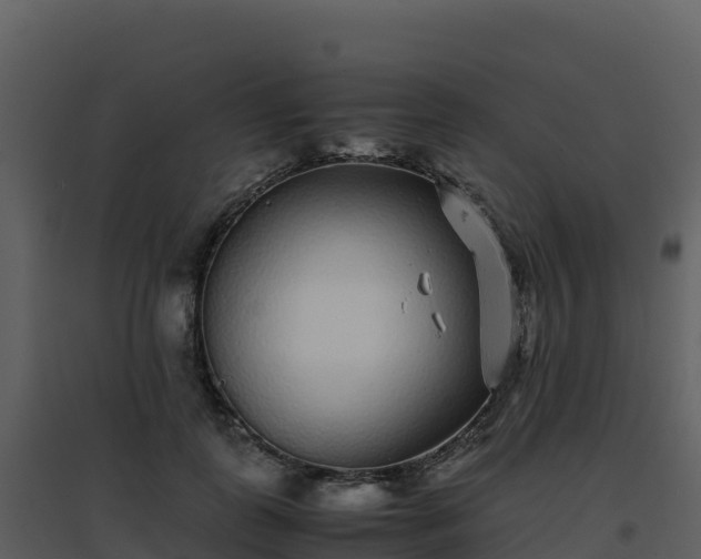 X0000096650747200802121132