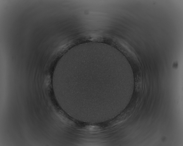 X0000096650748200802121132