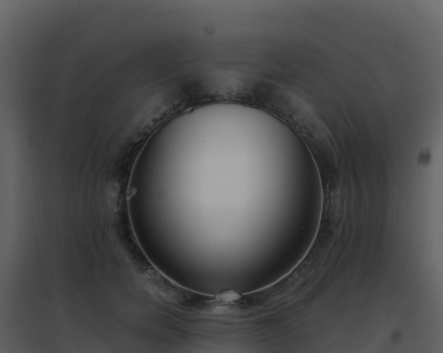 X0000096650750200802121132