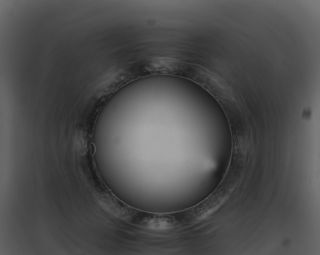 X0000096650751200802121132