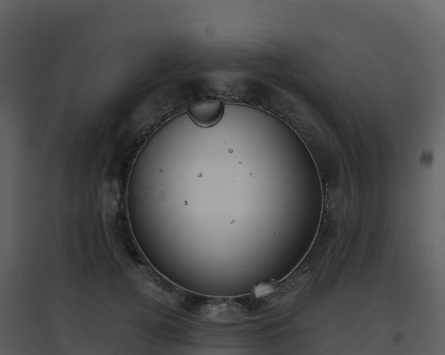 X0000096650752200802121132