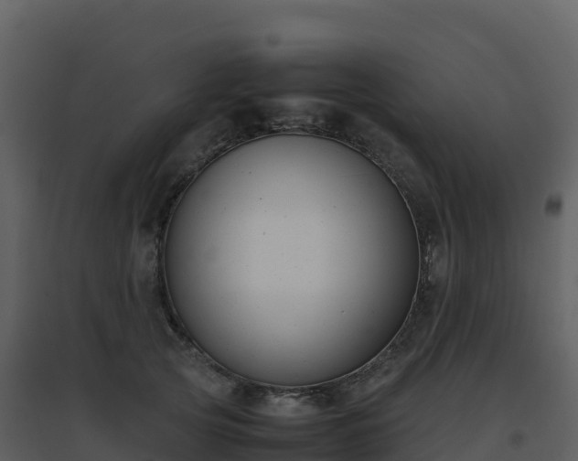 X0000096650753200802121132