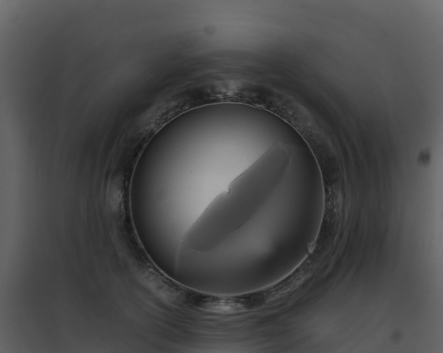 X0000096650754200802121132