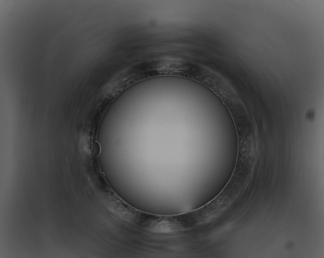 X0000096650755200802121132