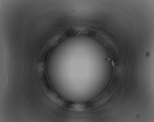 X0000096650756200802121132