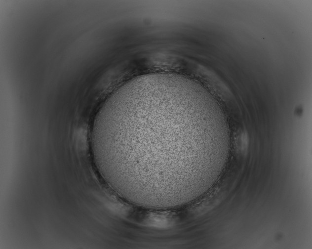 X0000096650757200802121132